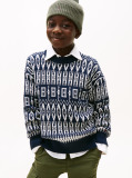 Multi Pulover Tricotat Cu Guler Rotund Si Model Fair Isle  Baieti