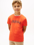 Portocaliu NYC Grafic Tricou Cu Maneca Scurta  Baieti