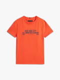 Portocaliu NYC Grafic Tricou Cu Maneca Scurta  Baieti