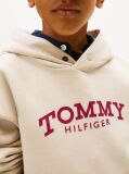 Beige Logo Print Fleece Hoody  Boys