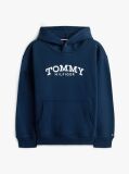 Blue Logo Print Fleece Hoody  Boys