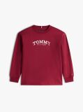 Rosu Tricou Cu Maneca Lunga Si Logo Imprimat  Baieti