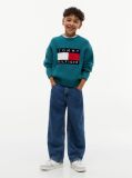 Blue Heritage Flag Chunky Knit Jumper  Boys