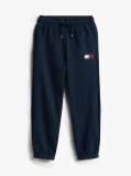 Blue Pantaloni Jogger Regular Cu Emblema Steag Hilfiger  Baieti