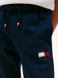 Blue Pantaloni Jogger Regular Cu Emblema Steag Hilfiger  Baieti