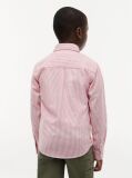 Multi Camasa Din Poplin De Bumbac Elastic  Baieti