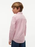 Multi Camasa Din Poplin De Bumbac Elastic  Baieti