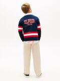 Blue Back Graphic Long Sleeve Polo Shirt  Boys