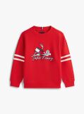 Red Wavy Flag Graphic Terry Sweatshirt  Boys