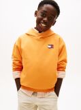 Orange Wavy Flag Terry Hoody  Boys