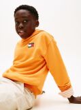 Orange Wavy Flag Terry Hoody  Boys