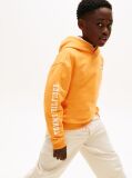 Orange Wavy Flag Terry Hoody  Boys