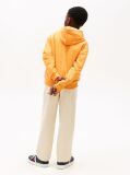 Orange Wavy Flag Terry Hoody  Boys