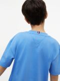 Blue Heritage Flag Print Jersey T-Shirt  Boys