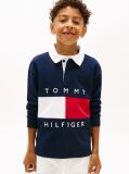 Blue Tricou Polo Cu Maneci Lungi Heritage Colour-Blocked Cu Steag  Baieti