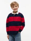 Multi Tricou Polo Cu Maneci Lungi Croiala Normala Si Dungi  Baieti