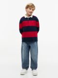 Multi Tricou Polo Cu Maneci Lungi Croiala Normala Si Dungi  Baieti