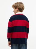 Multi Tricou Polo Cu Maneci Lungi Croiala Normala Si Dungi  Baieti