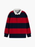Multi Tricou Polo Cu Maneci Lungi Croiala Normala Si Dungi  Baieti