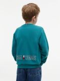 Blue Flag Embroidery Exaggerated Seam Jumper  Boys