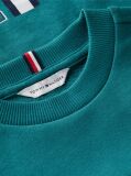 Blue Flag Embroidery Exaggerated Seam Jumper  Boys
