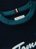 Blue Tricou Cu Logo-ul Crest  Baieti