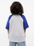 Blue Tricou Cu Maneci Raglan Blocuri De Culoare Si Logo  Baieti