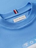 Blue Flag Graffiti T-Shirt  Boys