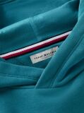Blue Crest Logo Hoody  Boys
