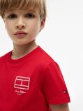 Rosu Tricou Cu Logo Outline De Steag  Baieti