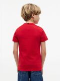 Rosu Tricou Cu Logo Outline De Steag  Baieti