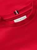 Rosu Tricou Cu Logo Outline De Steag  Baieti
