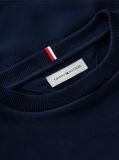 Blue Outline Flag Logo Terry Sweatshirt  Boys