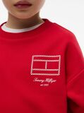 Red Outline Flag Logo Terry Sweatshirt  Boys