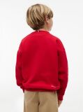 Red Outline Flag Logo Terry Sweatshirt  Boys