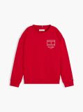 Red Outline Flag Logo Terry Sweatshirt  Boys