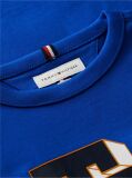 Blue T-Shirt Varsity Din Jerseu Cu Logo  Baieti