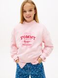 Pink Hoodie with Round Collar and Flock Logo  Girls