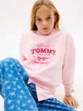 Pink Hoodie with Round Collar and Flock Logo  Girls