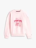 Pink Hoodie with Round Collar and Flock Logo  Girls