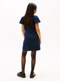 Blue Festive Stud A-Line Dress  Girls