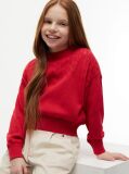 Red Pointelle Relaxed Balloon Sleeve Jumper  Girls