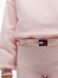 Roz Set Cu Bluza De Trening Si Colanti Cu Logo  Fete