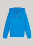 Blue Essential Logo Hoody  Kids Unisex