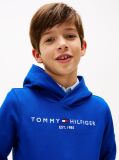 Blue Essential Logo Hoody  Kids Unisex