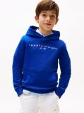 Blue Essential Logo Hoody  Kids Unisex