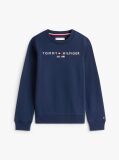 Blue Hanorac cu logo esențial  Copii unisex