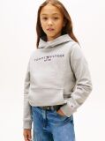 Gri Hanorac Essential Din Bumbac Organic Cu Logo  Copii unisex
