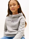 Gri Hanorac Essential Din Bumbac Organic Cu Logo  Copii unisex