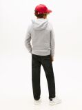 Gri Hanorac Essential Din Bumbac Organic Cu Logo  Copii unisex